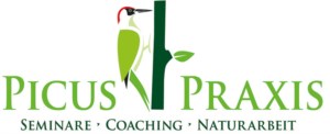picus-logo